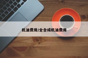 机油费用/全合成机油费用