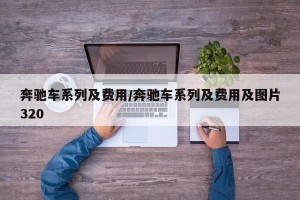 奔驰车系列及费用/奔驰车系列及费用及图片320