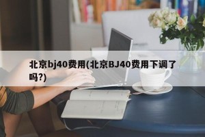 北京bj40费用(北京BJ40费用下调了吗?)