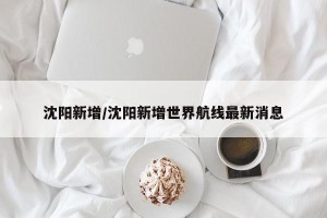 沈阳新增/沈阳新增世界航线最新消息