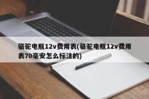 骆驼电瓶12v费用表(骆驼电瓶12v费用表70毫安怎么标注的)
