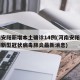 河南安阳新增本土确诊14例(河南安阳新增一例新型冠状病毒肺炎最新消息)