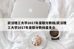 武汉理工大学2017年录取分数线/武汉理工大学2017年录取分数线是多少