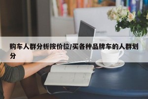 购车人群分析按价位/买各种品牌车的人群划分