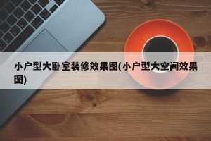 小户型大卧室装修效果图(小户型大空间效果图)