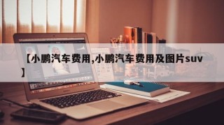 【小鹏汽车费用,小鹏汽车费用及图片suv】