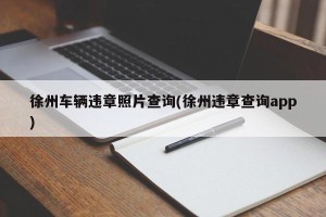 徐州车辆违章照片查询(徐州违章查询app)