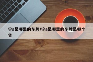 宁a是哪里的车牌/宁a是哪里的车牌是哪个省