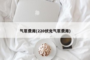 气泵费用(220伏充气泵费用)
