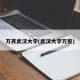 万芪武汉大学(武汉大学万俊)
