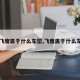 【飞度属于什么车型,飞度属于什么车系】