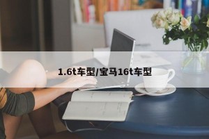 1.6t车型/宝马16t车型