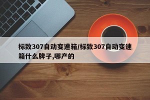 标致307自动变速箱/标致307自动变速箱什么牌子,哪产的