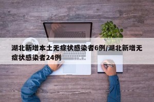 湖北新增本土无症状感染者6例/湖北新增无症状感染者24例