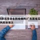 广东5市出现多名新增病例/广东新增五例本土病例具体情况