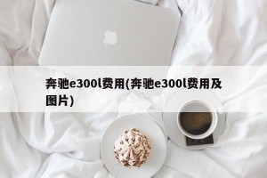 奔驰e300l费用(奔驰e300l费用及图片)