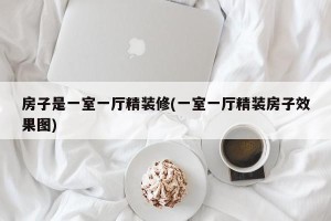 房子是一室一厅精装修(一室一厅精装房子效果图)